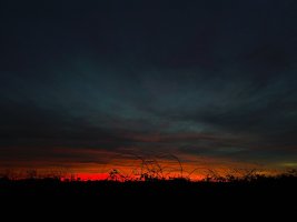 DJI_0597.JPG