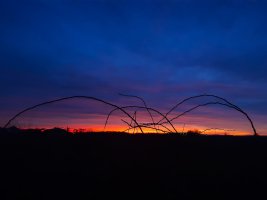 20231227_170116.jpg