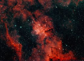 20240109-SH2-190_IC1805-final_300dpi 2.jpg