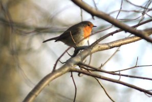 IMG_9174.jpeg