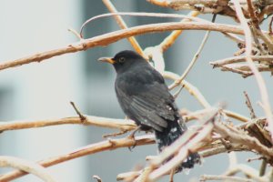 IMG_3545.JPG