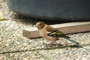 IMG_3563.JPG