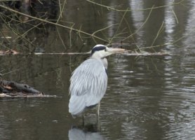 IMG_9197.jpeg