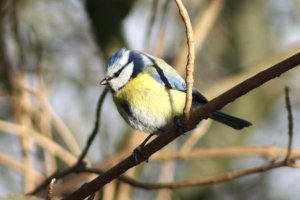 IMG_9203.jpeg