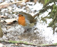 IMG_9192.jpeg