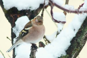 IMG_3634.JPG