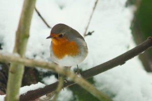 IMG_3641.JPG