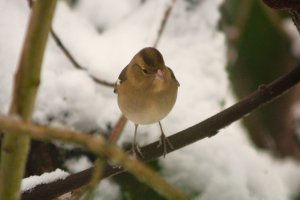 IMG_3657.JPG