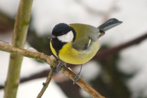 IMG_3670.JPG