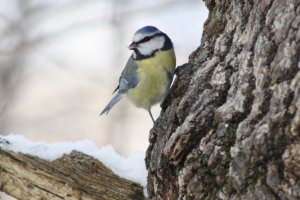 IMG_9209.jpeg