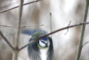IMG_9216.jpeg