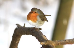 IMG_9211.jpeg