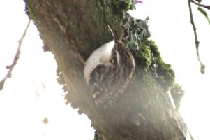 IMG_9213.jpeg