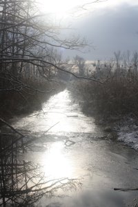 IMG_9215.jpeg