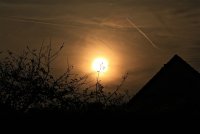 IMG_7893.JPG
