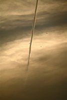 IMG_8066.jpg