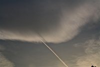 IMG_8029.JPG