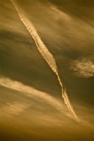 IMG_8069.jpg