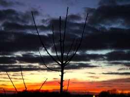 IMG_4060.JPG