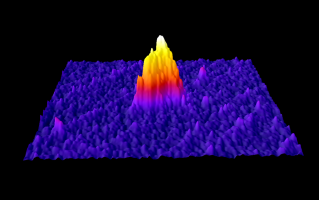 ImageJ-GRAVES-XYVv240210055920.png