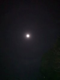 IMG_20240220_192235.jpg