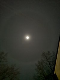 IMG_20240220_192405.jpg