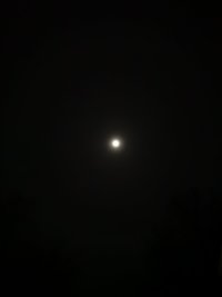 IMG_20240220_192451.jpg