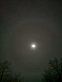 IMG_20240220_192530.jpg