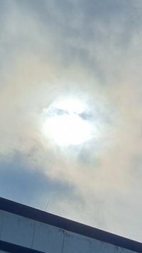 20240222_135009.jpg