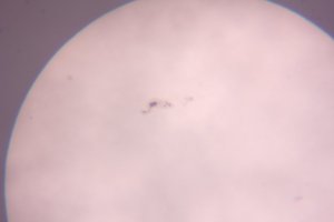 IMG_0019.JPG