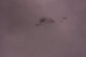 IMG_0023.JPG