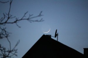 IMG_0007.JPG