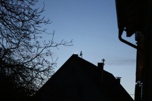 IMG_0014.JPG