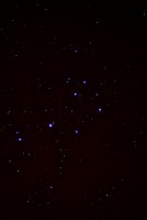 IMG_8322.jpg