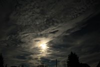 IMG_8415.JPG