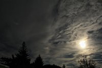 IMG_8408.JPG
