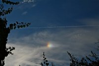 IMG_8441.JPG