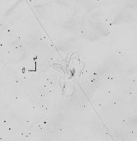 2018_12_11x46Pn.jpg