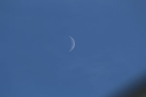 IMG_0022.JPG