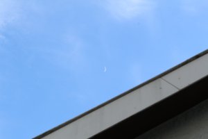 IMG_0028.JPG