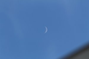 IMG_0032.JPG