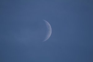 IMG_0035.JPG