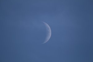 IMG_0033.JPG