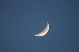 IMG_0048.JPG