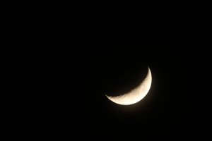 IMG_0069.JPG
