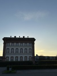 IMG_5890.JPG