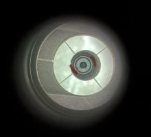 IMG_0116.jpeg IMG_0116.jpeg