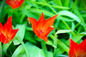 IMG_4595.JPG