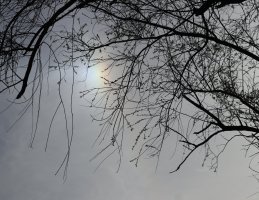 IMG_9372.jpeg