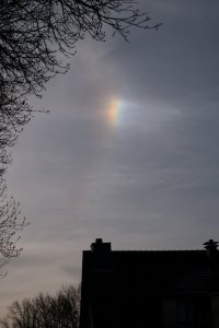 Sonnenbogen-Nebens.3-Kopie.jpg